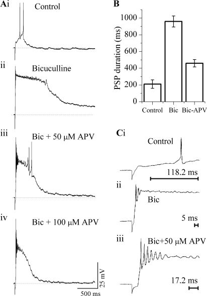 Fig. 6