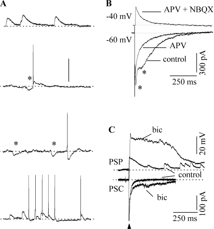 Fig. 4