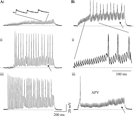 Fig. 8