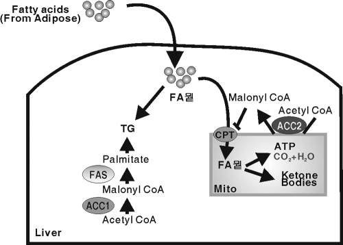 FIG. 8.