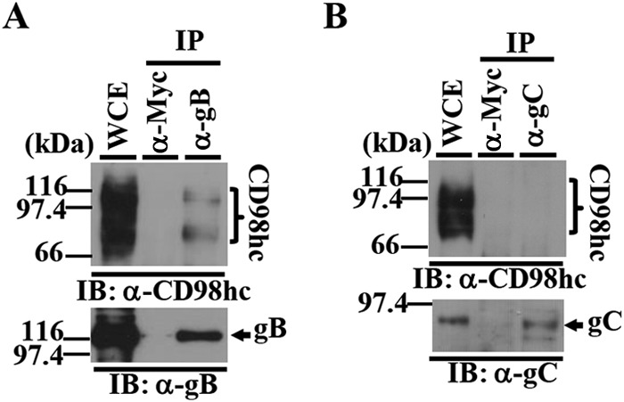 FIG 1