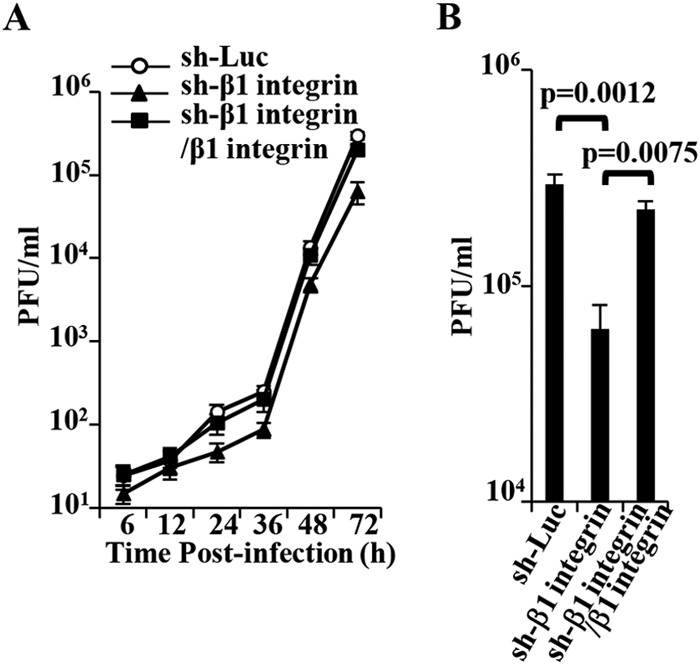 FIG 14