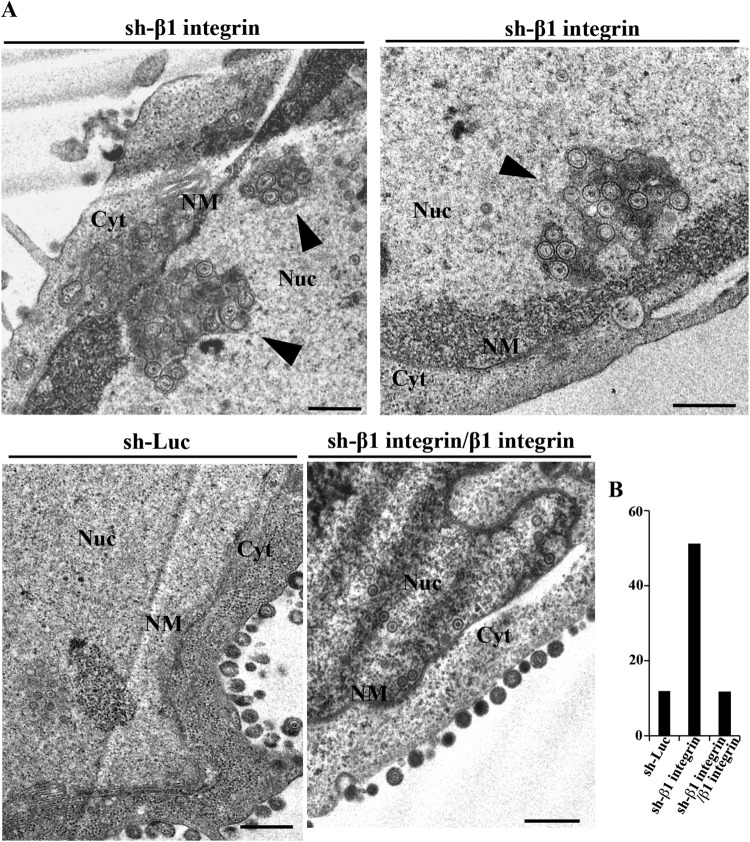 FIG 11