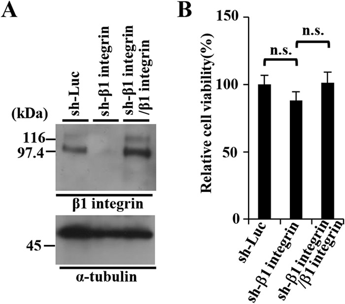 FIG 9