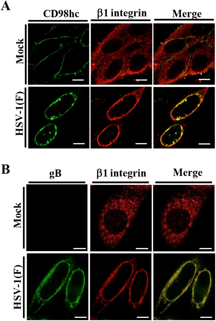 FIG 8