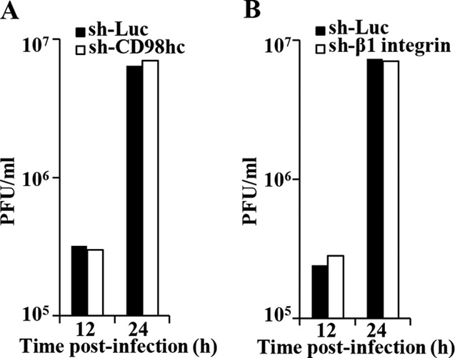 FIG 13