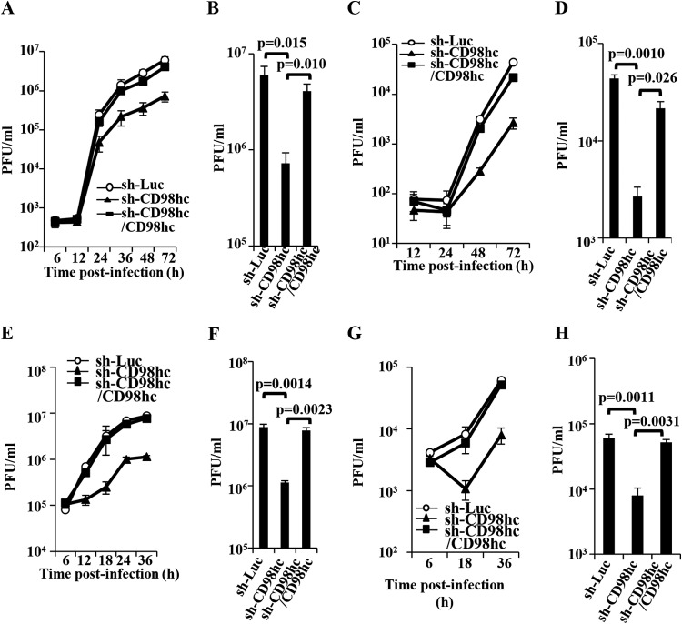 FIG 12