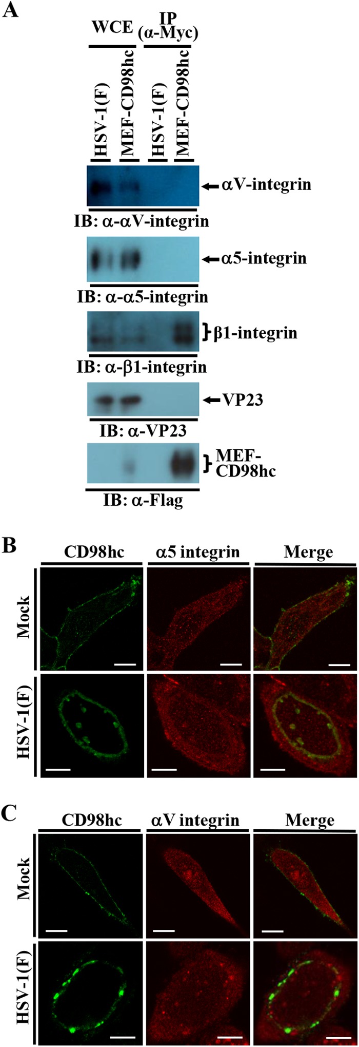 FIG 15