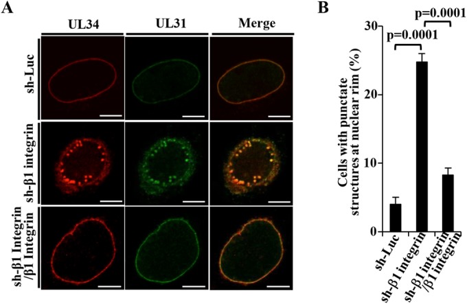 FIG 10