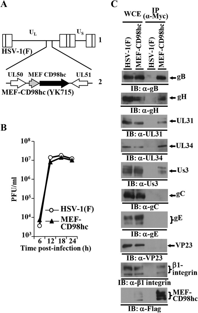 FIG 2