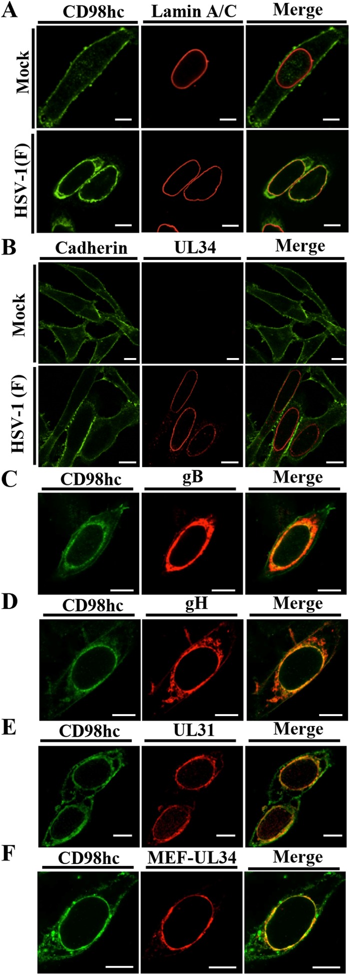 FIG 4