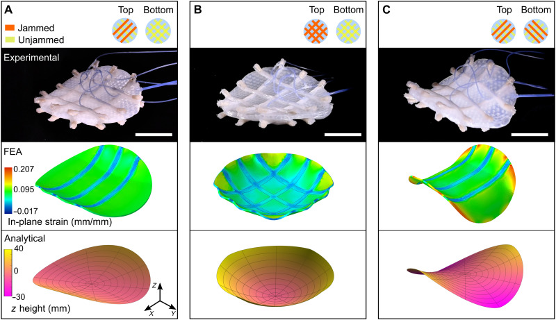 Fig. 6.