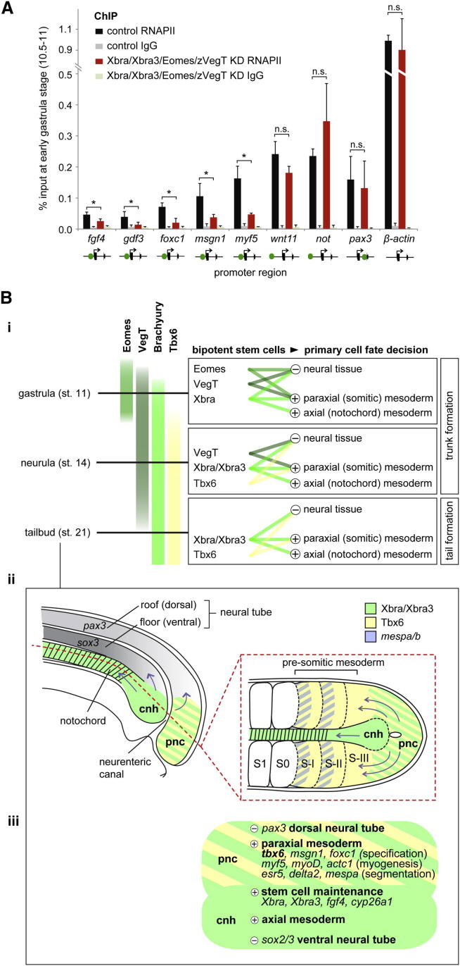 Figure 7