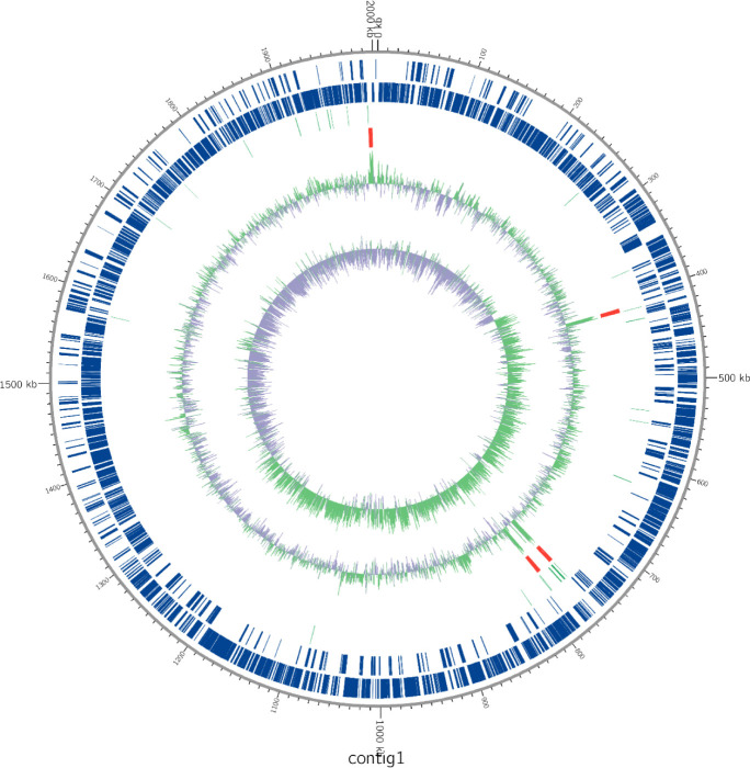 Fig. 1.