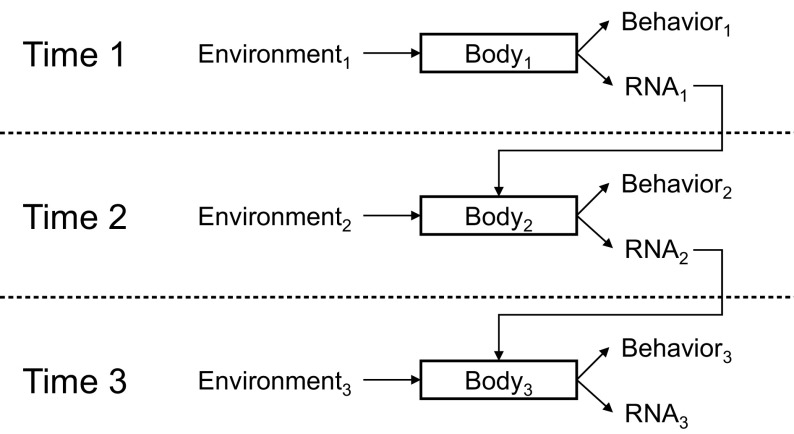 FIGURE 3—