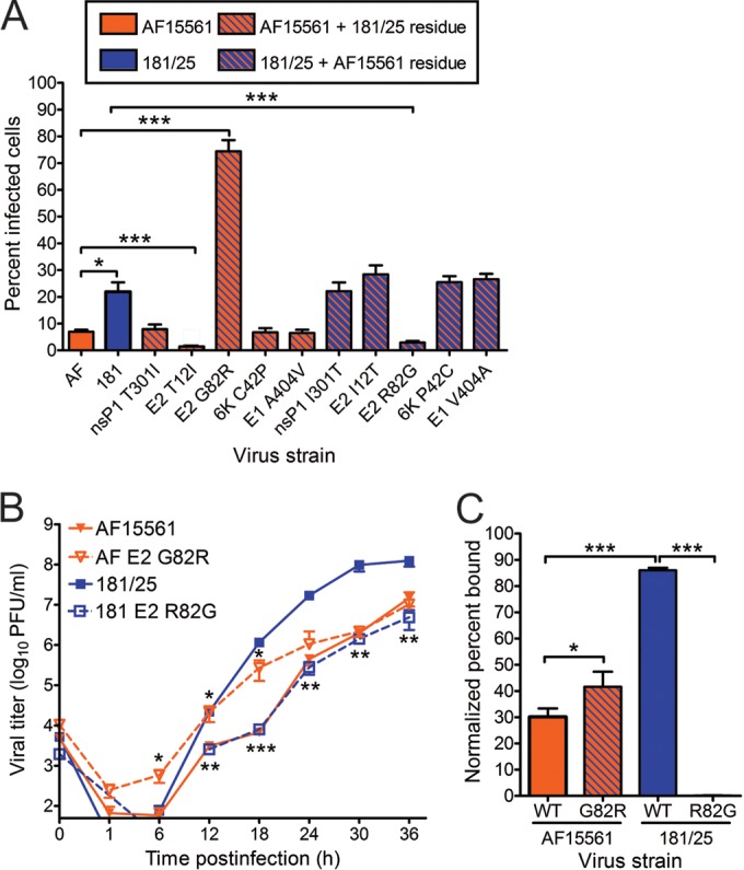 FIG 2