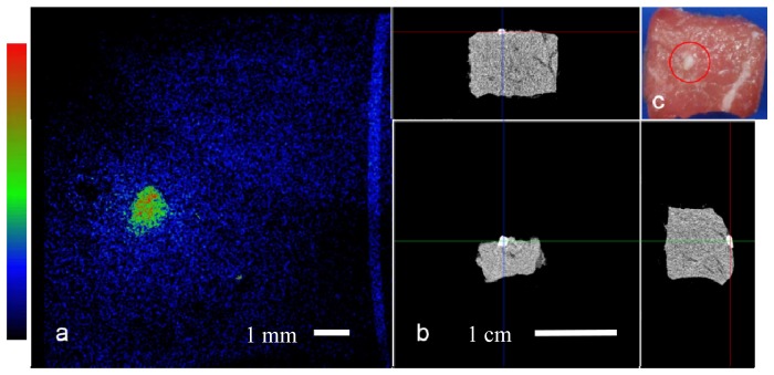 Fig. 4