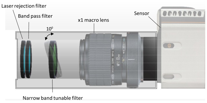 Fig. 1