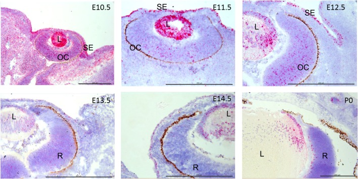 Fig. 3.