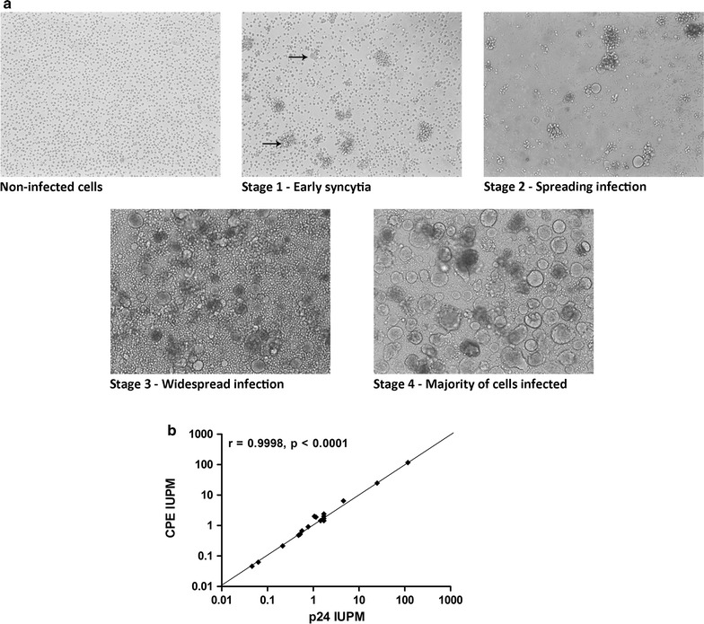 Fig. 1