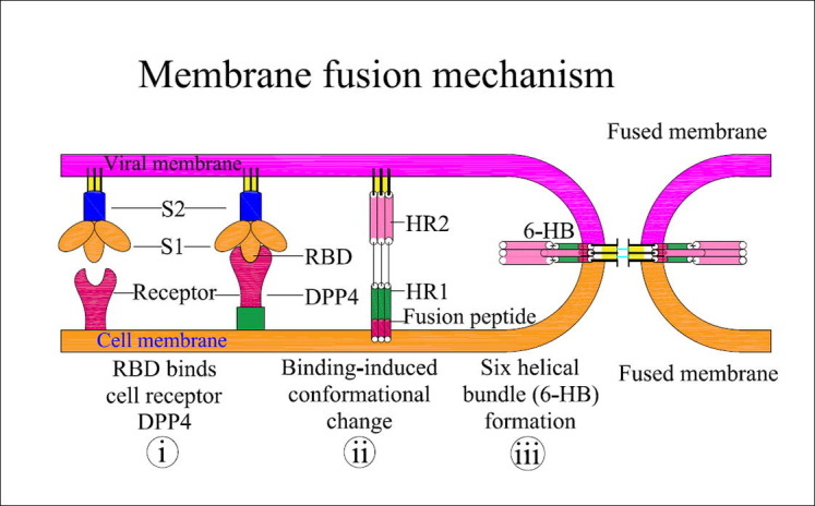 Fig. 2