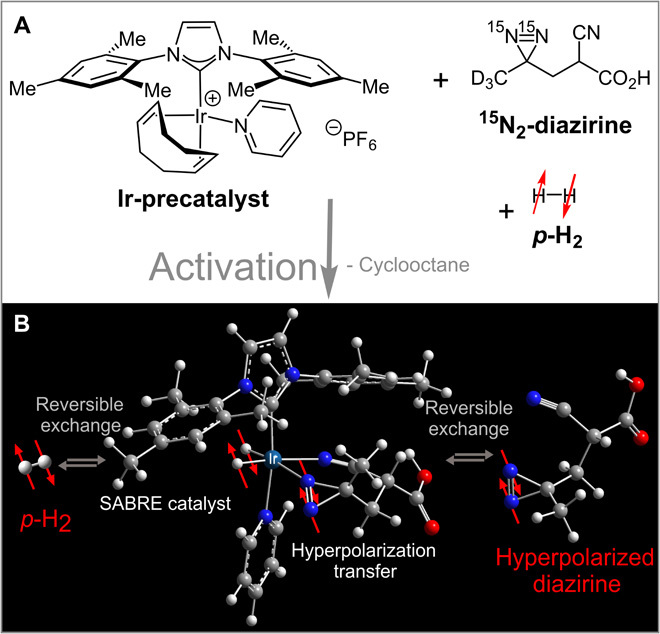 Fig. 1