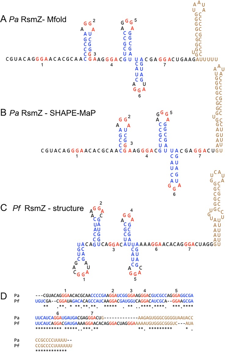 FIG 2