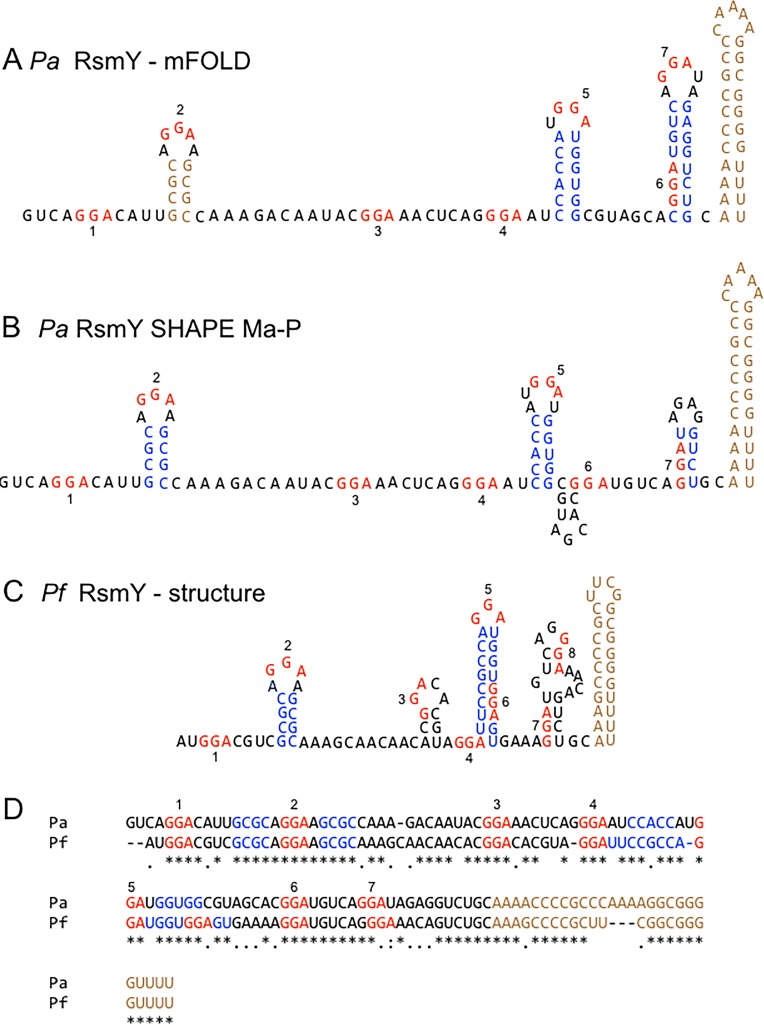 FIG 1