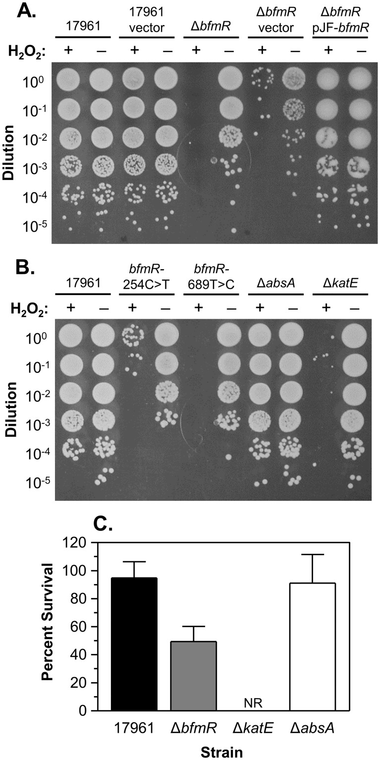 Fig 5