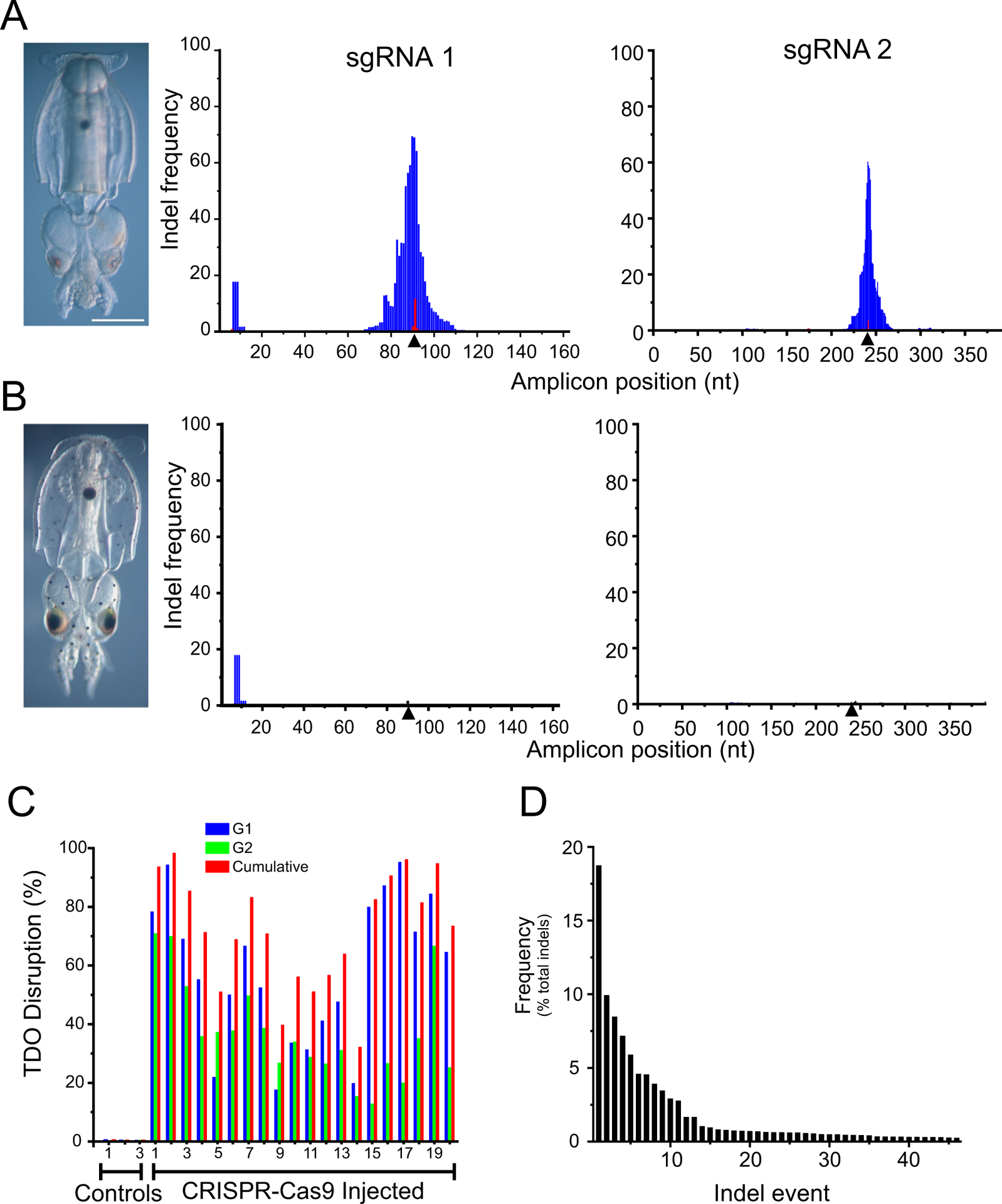 Figure 4.