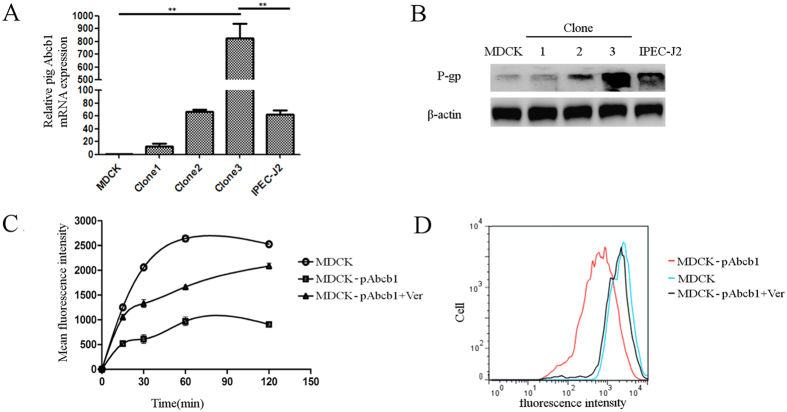 Figure 5