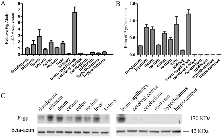 Figure 6