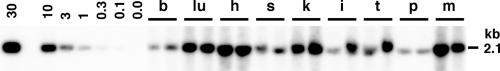 FIG. 6.