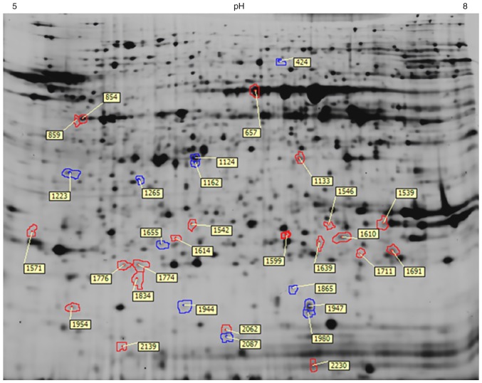 Figure 1.