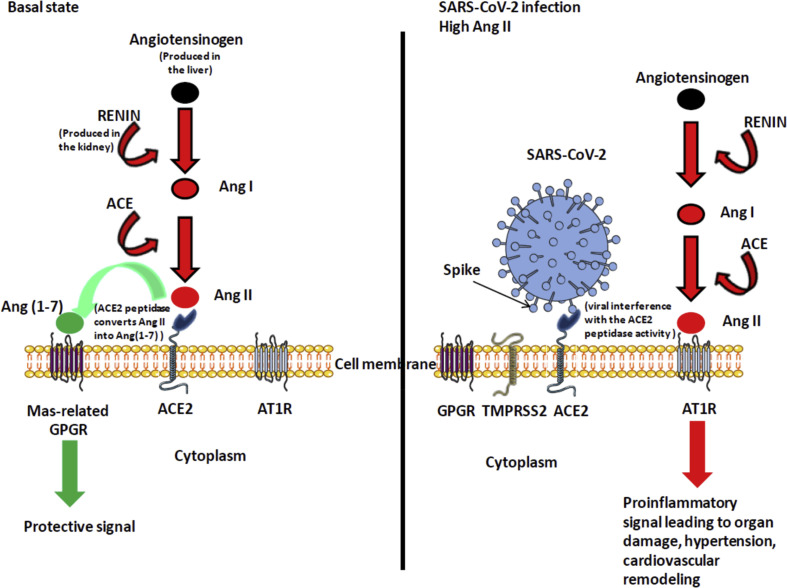 Figure 2