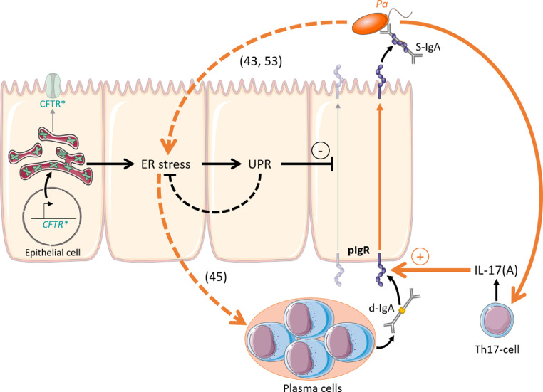 Fig 9