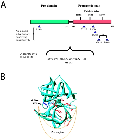 FIG. 4.