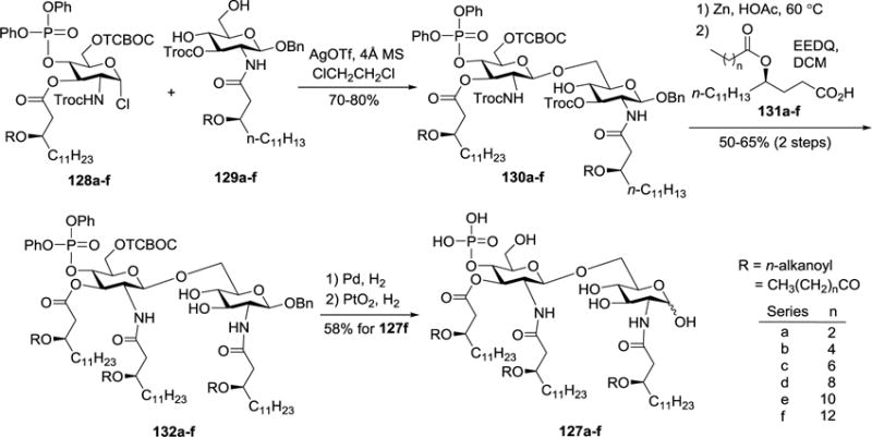 Scheme 13