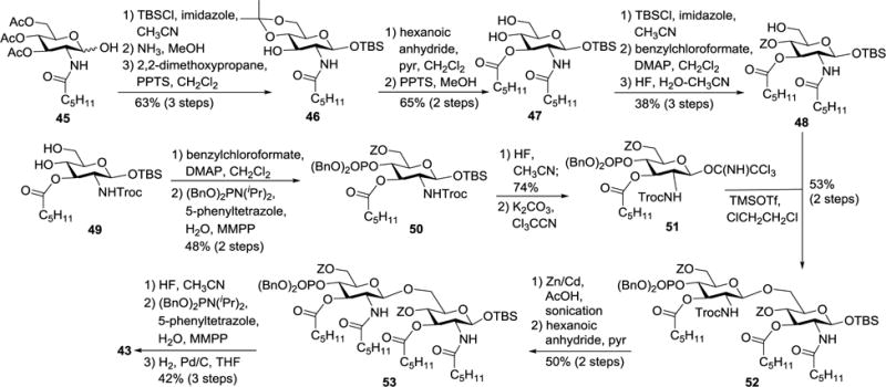 Scheme 5