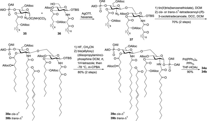 Scheme 4