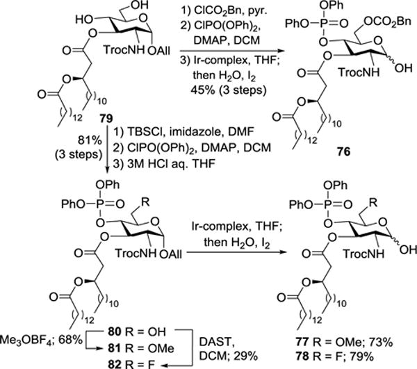 Scheme 8