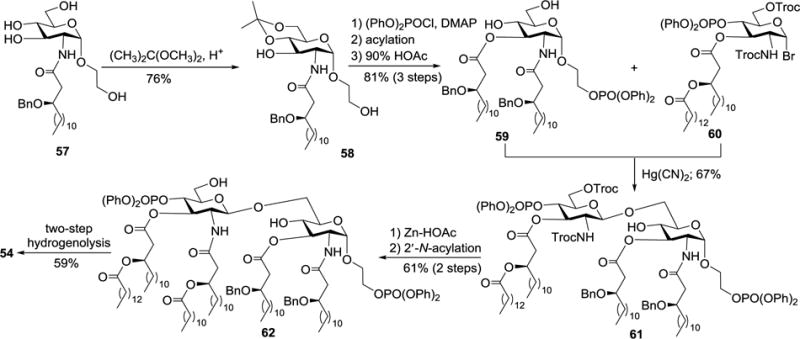 Scheme 6