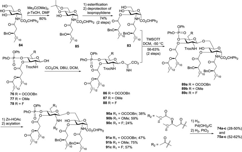 Scheme 9