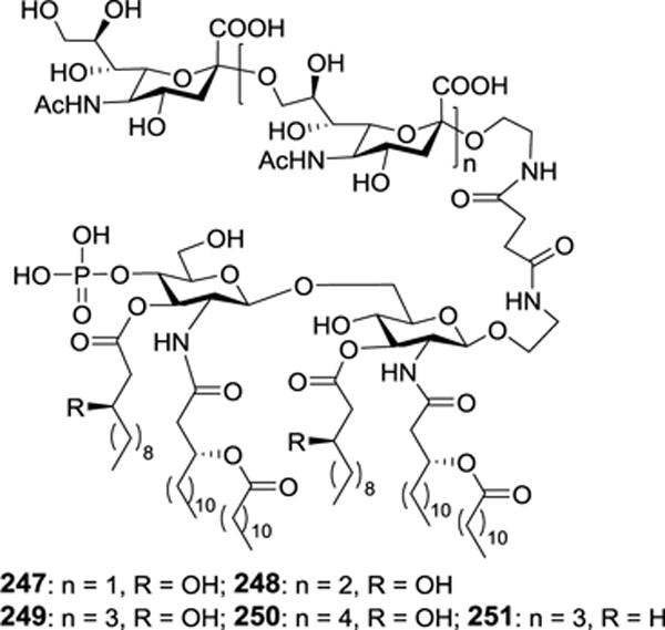 Figure 24