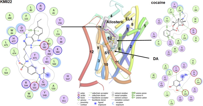 FIGURE 4