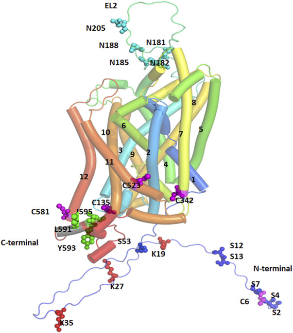 FIGURE 3