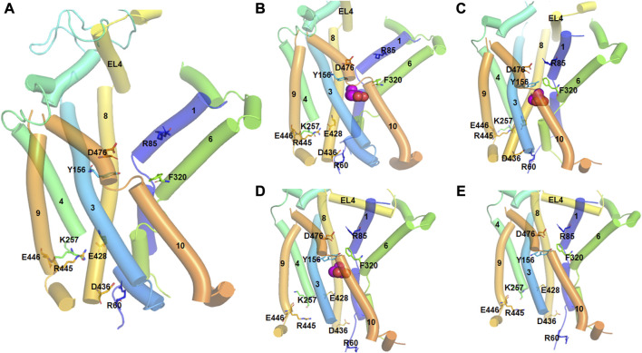 FIGURE 2