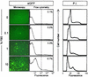 FIG. 2.