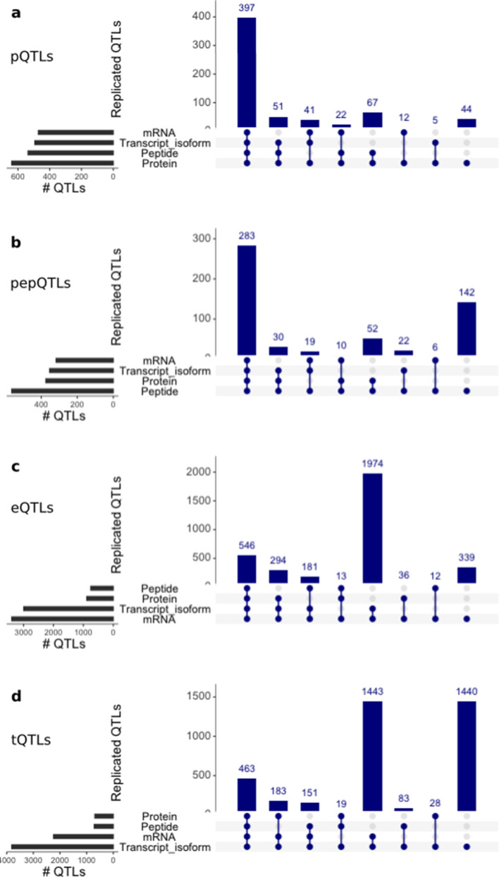 Figure 3—figure supplement 1.