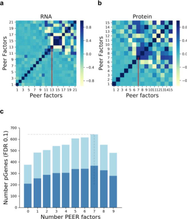 Figure 2—figure supplement 1.